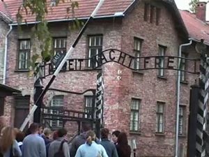 AUSCHWITZ. VIDEO