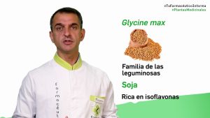 Lecitina de soja, cuándo y cómo tomarla. Tu Farmacéutico informa