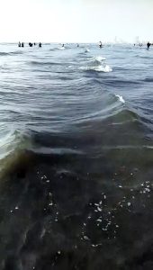 jigantic waves