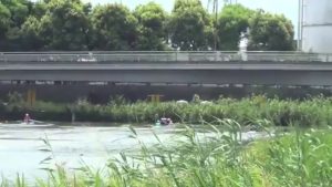 白虎08022013