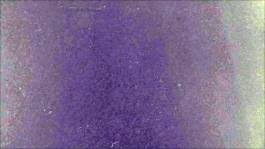 Ari by Ariana Grande | Ulta Beauty