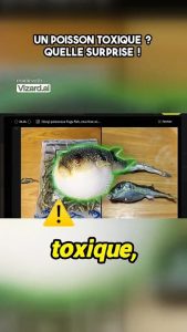un poisson toxique ?