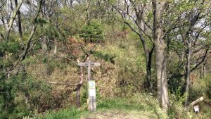 高尾山　平野・大県古墳群