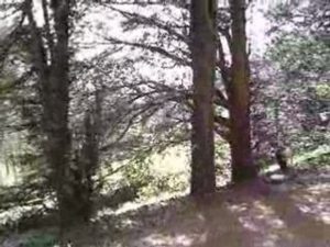 Parc St Jans Cappel