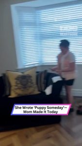 Told She’d Get a Rabbit—What She Got Made Her Cry