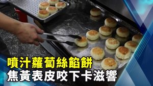 噴汁蘿蔔絲餡餅 焦黃表皮咬下卡滋響