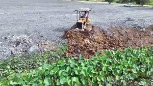 Best Amazing Updating Project Clearing Lake Lotus and Land Filling by Amazing Bulldozer Komatsu D30P