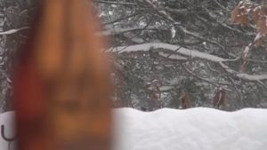 The Artist ONE - song 17 long version (Demo) and some snow from the winter of 2013