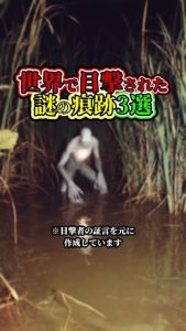 世界で目撃された謎の痕跡3選