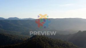 FootageCrate-4K_Aerial_Moutain_Pine_Forest_2-s