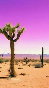 Arid desert