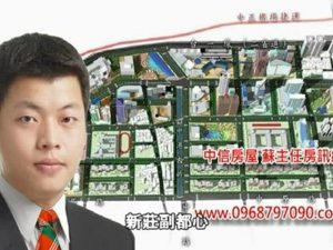 新莊副都心,副都心重劃區