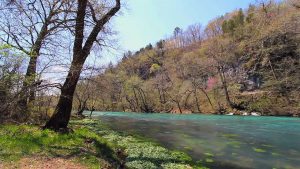 角田真弘　Missouri Current River With Trees On Bank At Big Spring