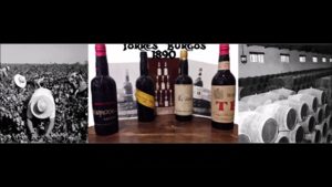 Vinos en Lucena