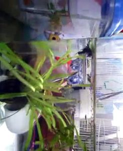 VID_20131014_090416