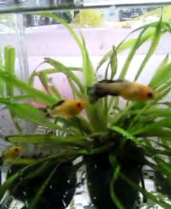 VID_20140508_095252