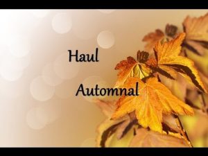 ▲ Haul du début automne..▼