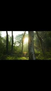 The Mystery of Destiny: What Lies Beyond Our Understanding?