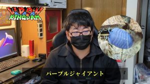 大阪AWAKEに参加！持っていく生体を紹介♪