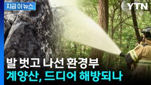 “계양산, 드디어 해방?”...환경부, 러브버그 방제 투입 [지금이뉴스] / YTN