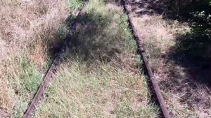 Traveling Train