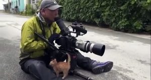 Ce chaton a adopté un photographe dans la rue