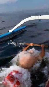 J’ai nagé avec les dauphins
