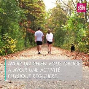 6 bonnes raisons d'avoir un chien à la maison