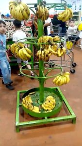 Banana on the grill