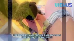 뷰어스