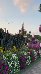 Miracle Garden