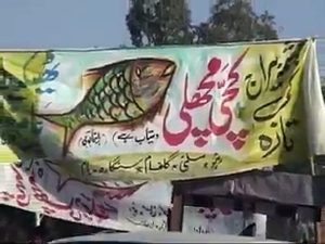 (silenteyes)chasma beraj ki mashoor machli