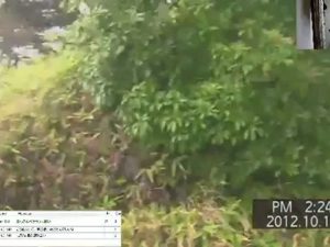 真・動画ぼくの夏終わりに丹沢で8枠121012