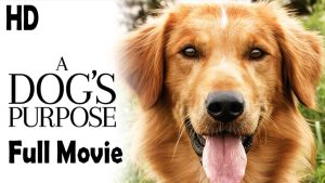 A Dog's Purpose (2017) Full Movie HD