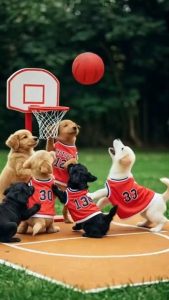 犬の赤ちゃん 初めてのスポーツ