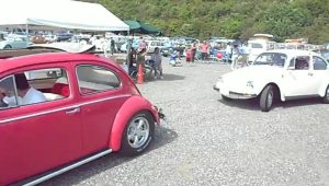 DSCN1263