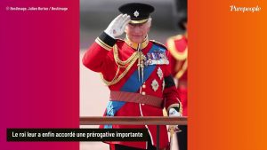 Il était temps ! Kate et William obtiennent enfin ce droit que le roi Charles tardait à leur décerner
