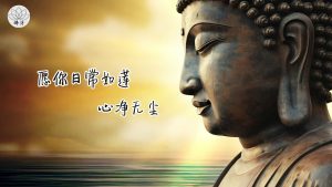 心灵静修，佛经歌曲伴你远离烦忧 袖子古筝禅乐 #佛经 #佛经歌曲 #念经 #佛歌曲大全最新 #心灵禅乐