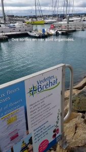 Parc éolien de la baie de Saint-Brieuc