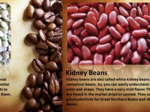 Types of Beans