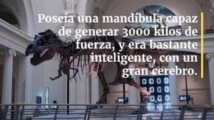 Los 5 dinosaurios carnívoros más temibles