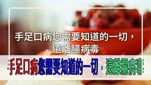 zimedia_010803