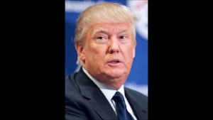 donald trump biography