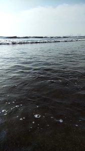Beautiful Sea waves