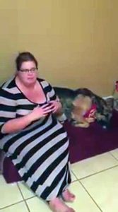Big Barker Dog Bed Review: Donna & StellaLuna