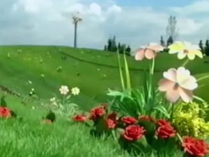 YouCut_20240714_110404205