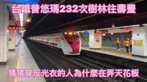 Taiwan Railway Puyuma TrainNo. 232/Sulin to Shoufeng台鐵普悠瑪232次樹林往壽豐 #CapCut #關注 #按愛心 #foryoupage #train #railroad #railway