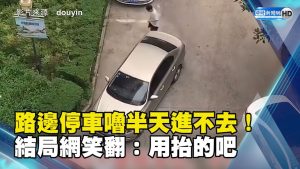路邊停車嚕半天進不去！結局網笑翻：用抬的吧