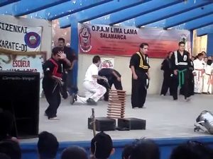 OPAN KARATE TEAM LIMALAMA