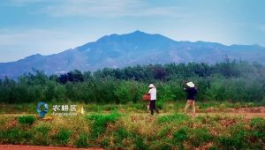 Exhibition of 2024 ISVC Outstanding Works《Back to Ancient China》